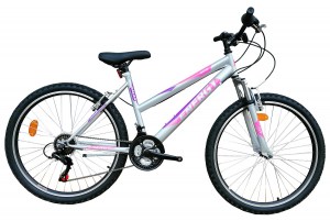 ΠΟΔΗΛΑΤΟ Energy Galaxy 24" Γυναικείο - Ασημί  DRIMALASBIKES 